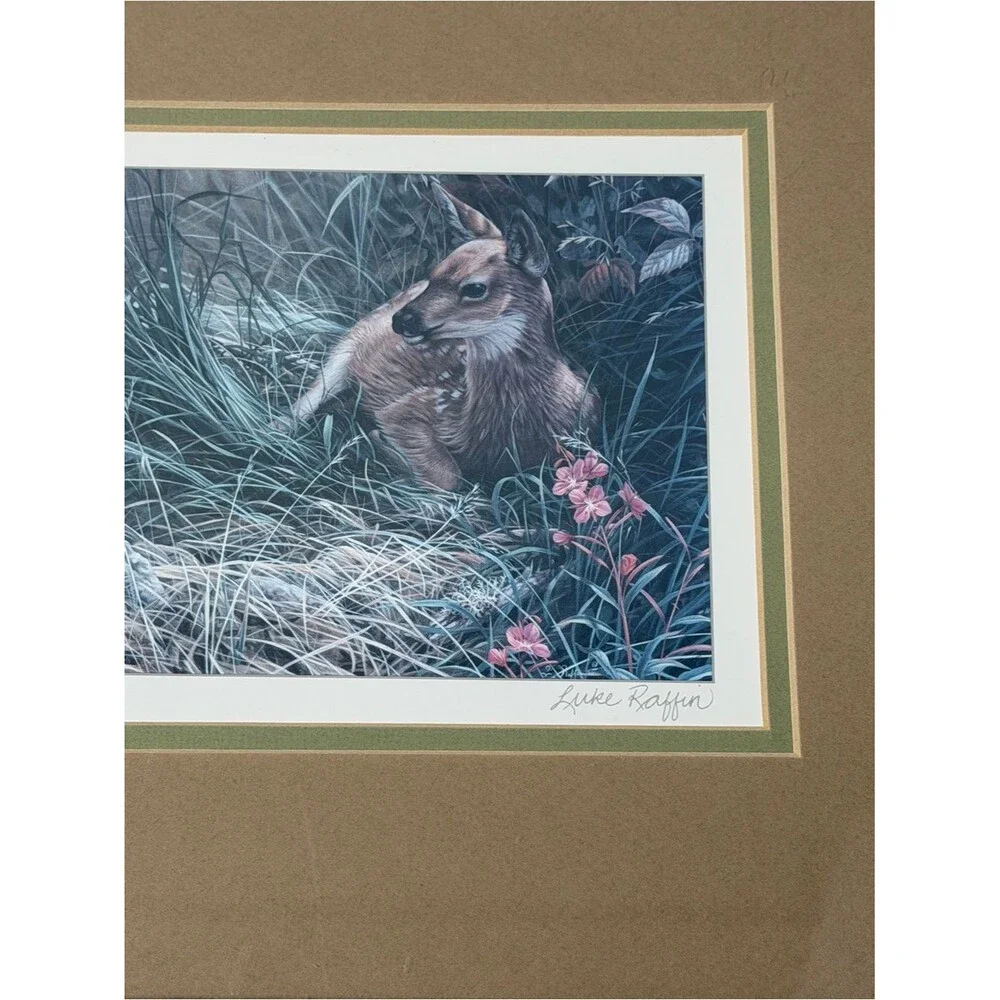 Unbranded beautiful framed